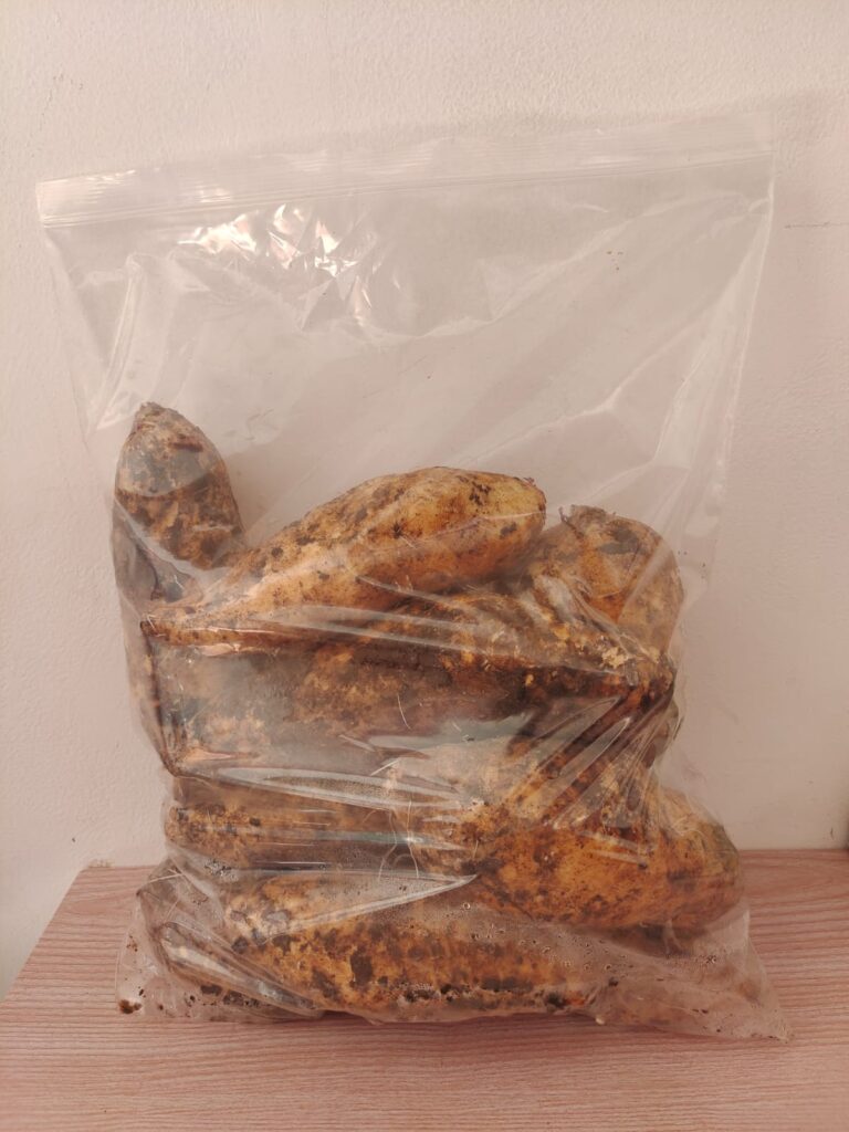 WhatsApp Image 2025-11-15 at 14.57