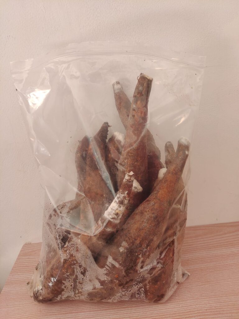 WhatsApp Image 2025-11-15 at 14.57